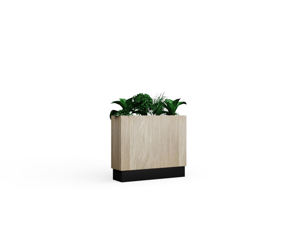 Fearne Low with Wood Plinth and  No Trim